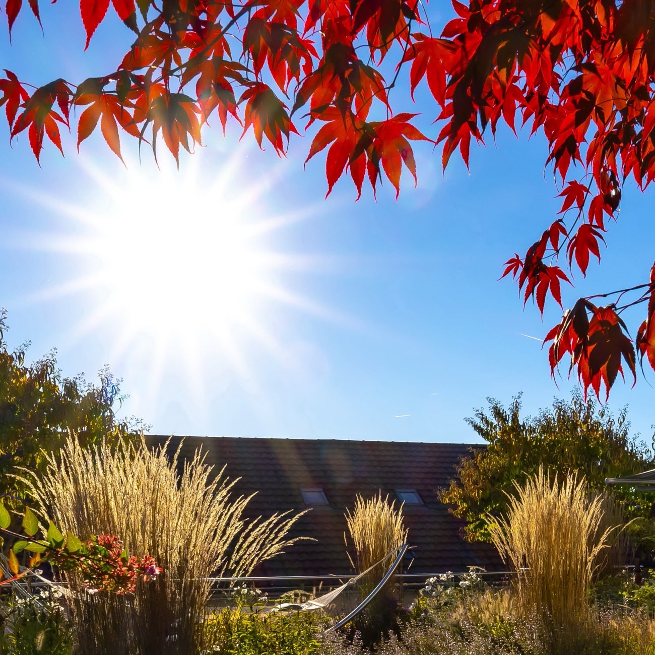 Herbst 1