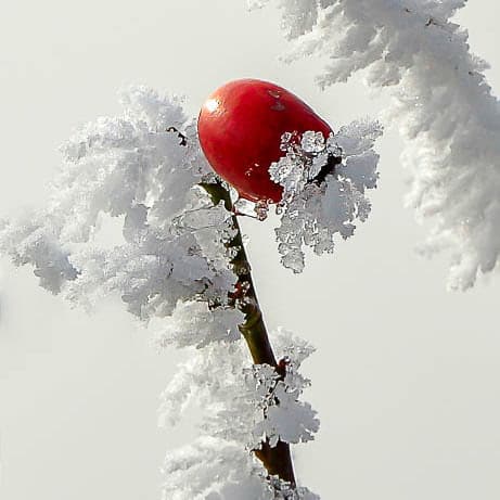 Winter 1