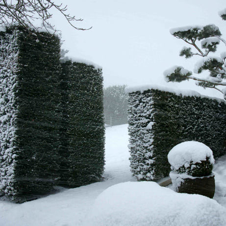 Winter 2